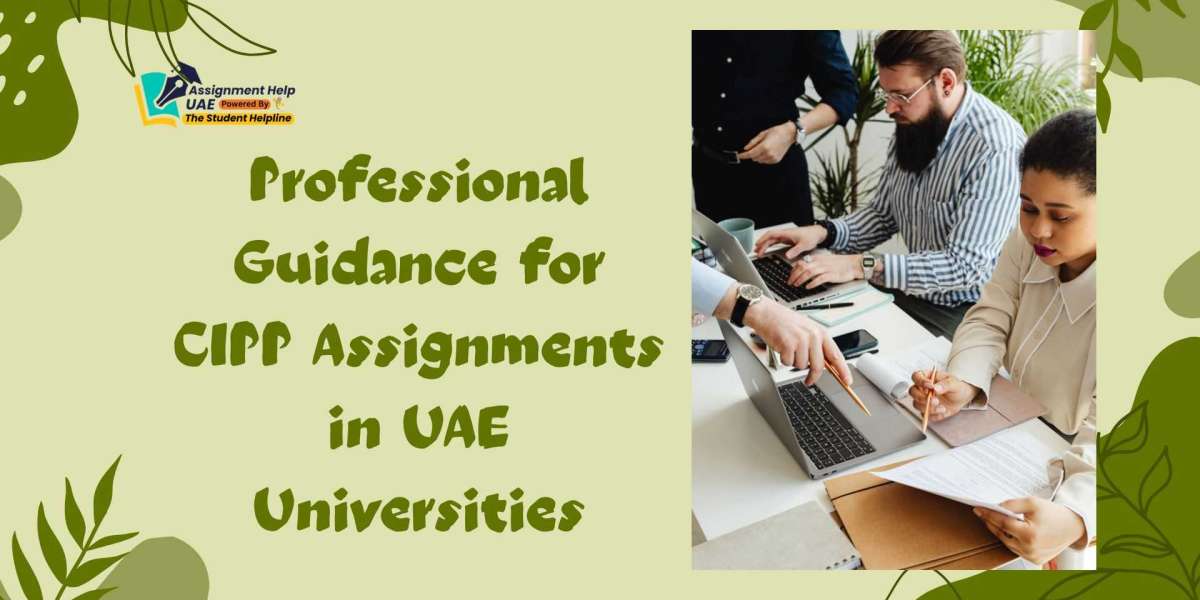 Professional Guidance for CIPP Assignments in UAE Universities