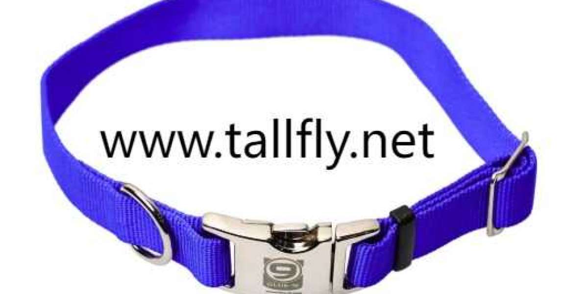 Zero-Waste Collar Production: Innovation Meets Responsibility