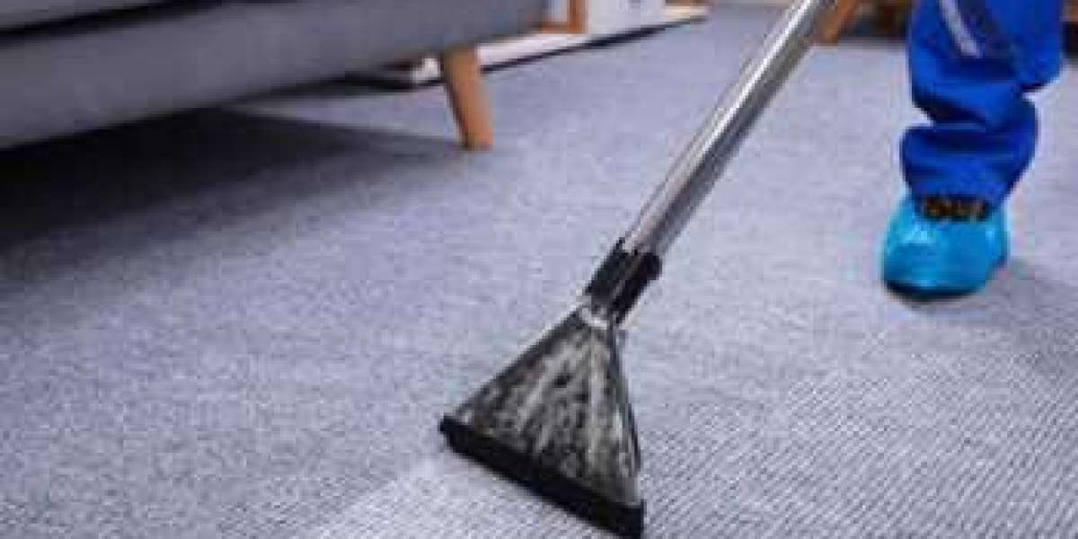 Carpet Cleaning Services vs DIY: Which One Works Best?