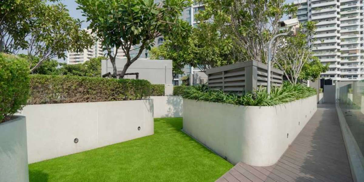 Pet-Friendly Condos in Urban Areas: A Growing Trend for City Dwellers