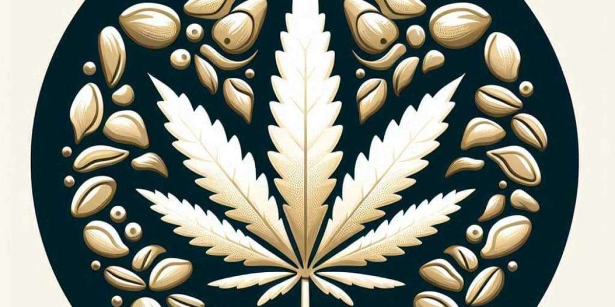 White Widow Strain Profile: A Legendary Hybrid