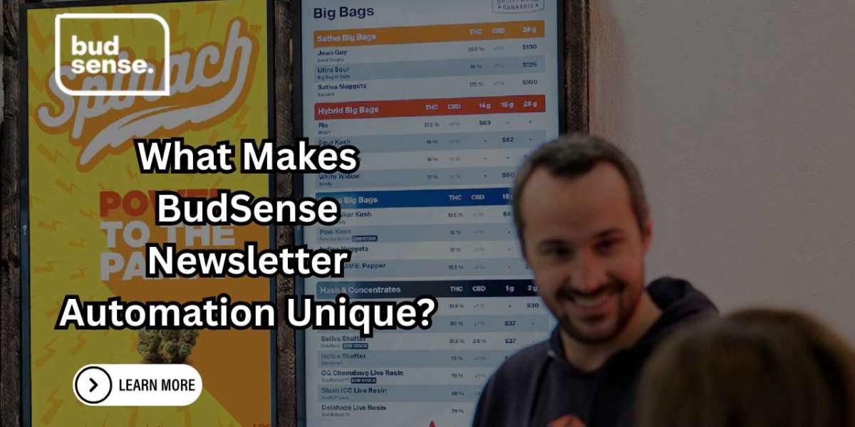 What Makes BudSense Newsletter Automation Unique?