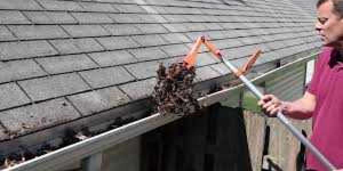 Gutter Cleaning Deer Park: Essential Maintenance for a Healthy Home