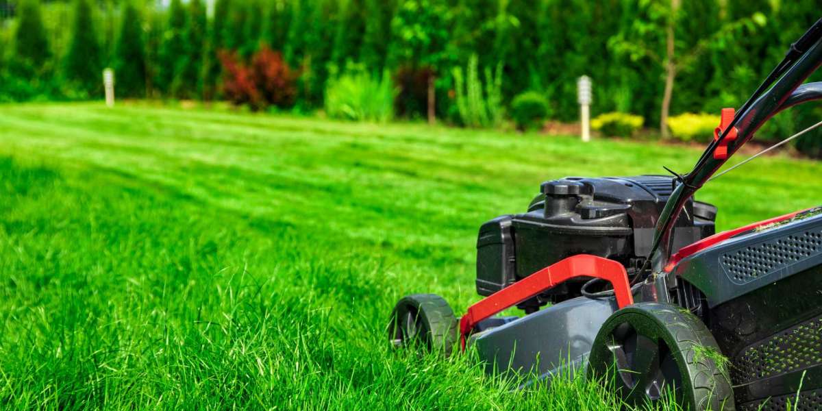 cto Reach USD  Billion by 2033, Driven by Growing Demand for Aesthetic and Sustainable Landscaping
