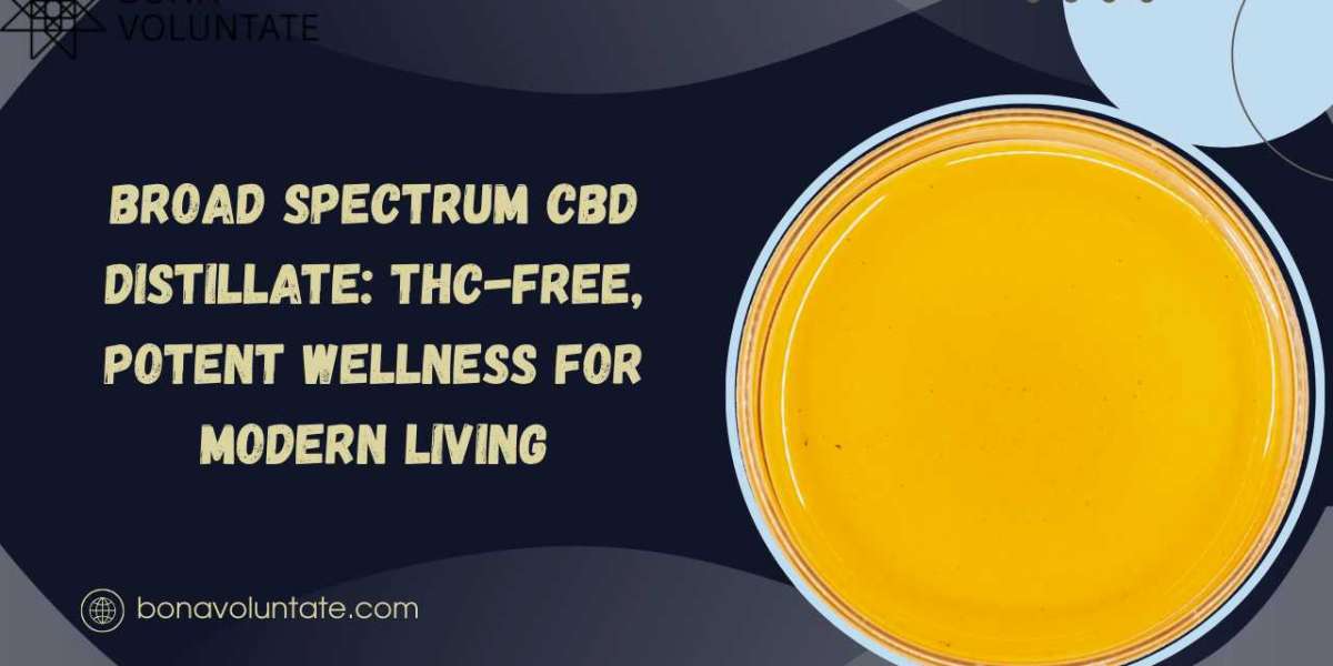 Broad Spectrum CBD Distillate for THC-Free Relief