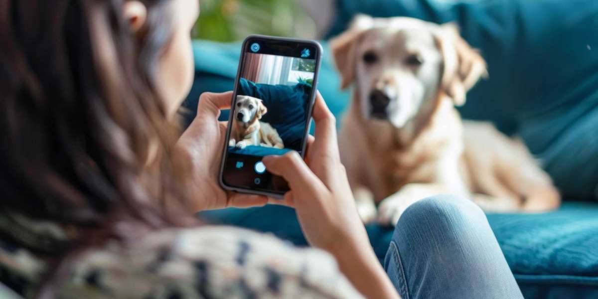 Pawrpose: Where Pet Tech Meets Compassionate Care