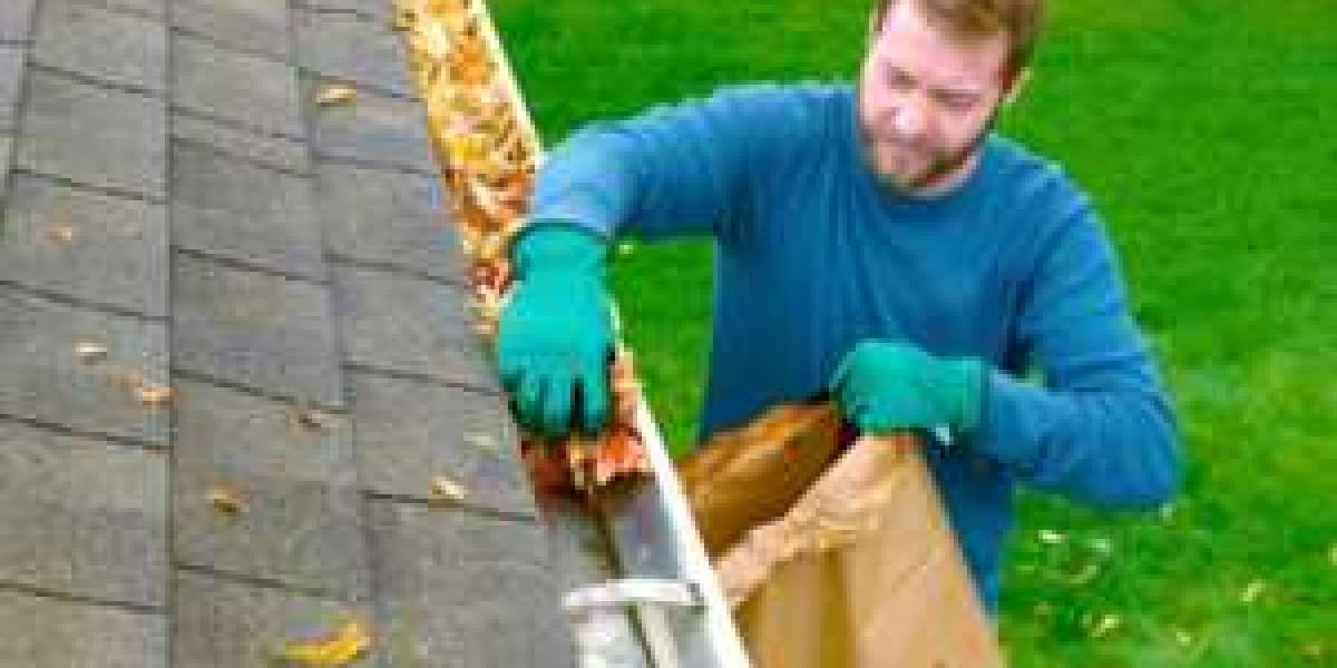 Gutter Cleaning Southbank: Protect Your Property with Professional Care